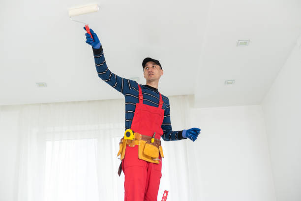 Best Mold Prevention Services  in South Wilton, CT